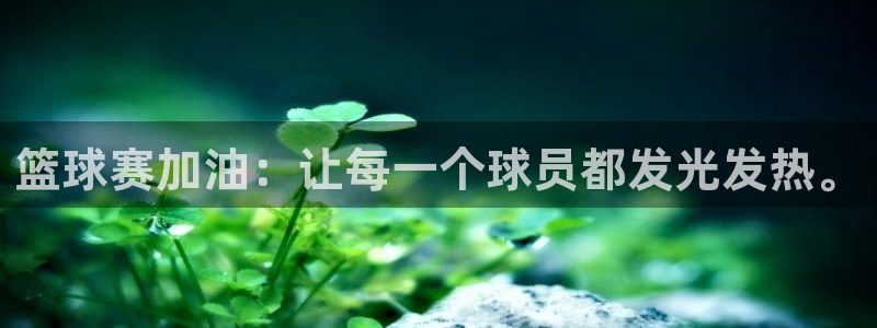 od体育官网在线