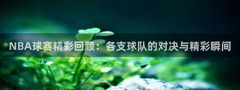 od体育在线