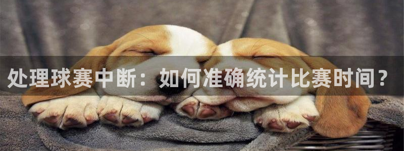 od体育网页版