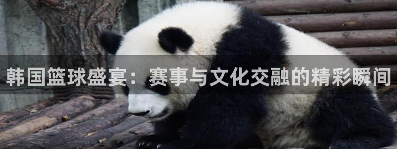 od体育最新版下载