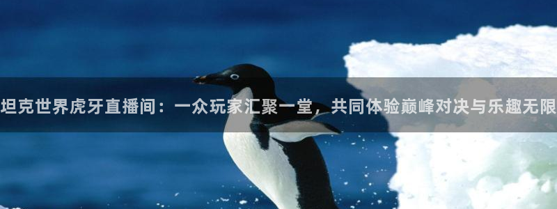 龙门镖局超清在线观看