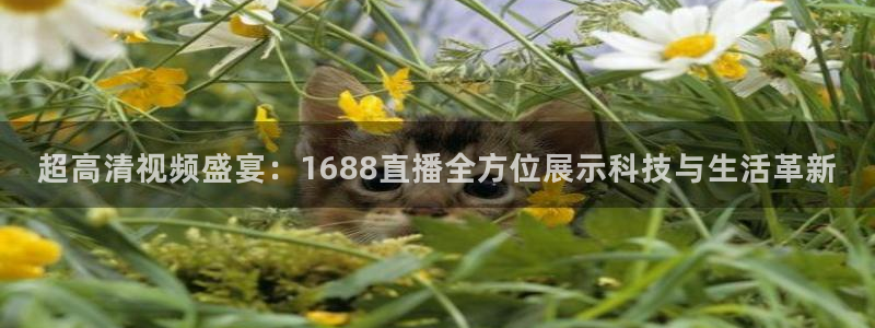 龙门直播下载官网：超高清视频盛宴：1688直播全方位展示科技与生活革新