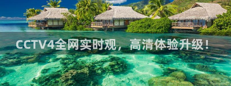 龙门直播nba：CCTV4全网实时观，高清体验升级！