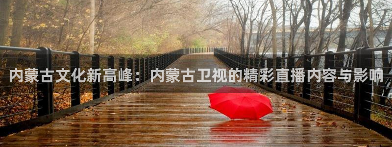 龙门直播下载官网：内蒙古文化新高峰：内蒙古卫视的精彩直播内容与影响