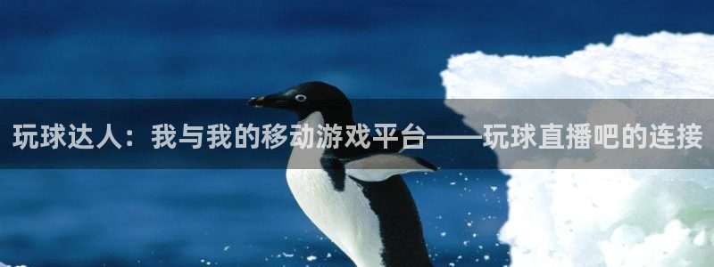 龙门直播app：玩球达人：我与我的移动游戏平台——玩球直播吧的连接
