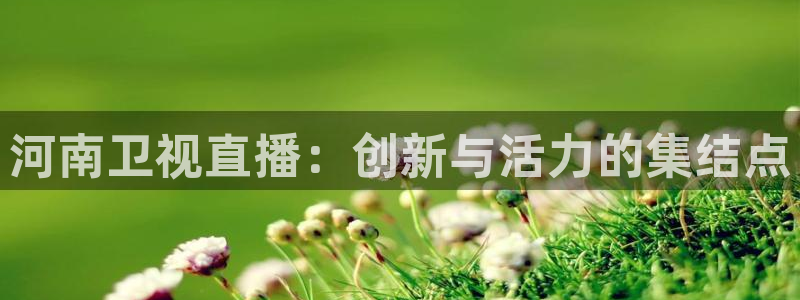 龙门直播免费下载入口：河南卫视直播：创新与活力的集结点