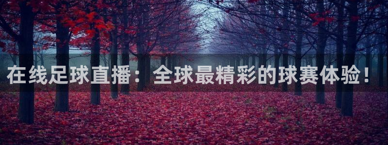 nba直播免费观看直播在线龙门：在线足球直播：全球最精彩的球赛体验！