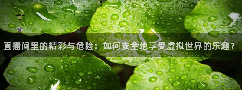 龙门直播间在线观看：直播间里的精彩与危险：如何安全地享受虚拟世界的乐趣？