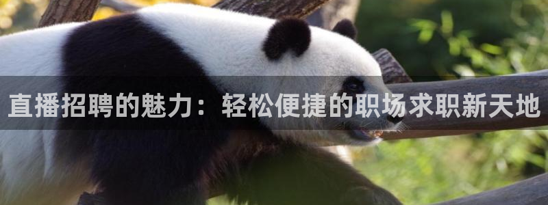 龙门体育直播在线观看：直播招聘的魅力：轻松便捷的职场求职新天地