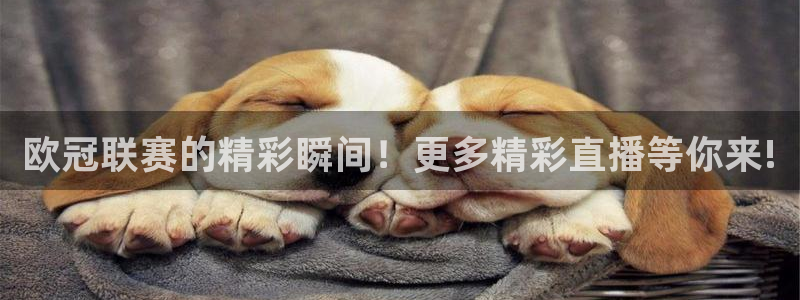 中超龙门直播：欧冠联赛的精彩瞬间！更多精彩直播等你来!