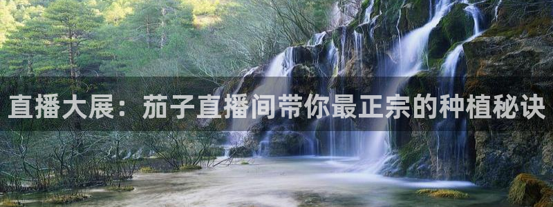 龙门直播app体育：直播大展：茄子直播间带你最正宗的种植秘诀